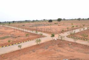 Village Kota plots getting popular in Noida
